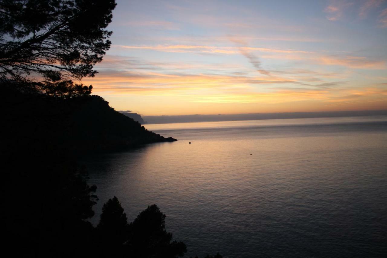 Son Riera Petit Paradis Banyalbufar Exterior photo